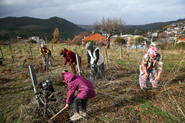 Fotoğraf: AA